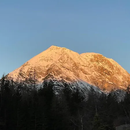 阿德霍夫酒店 *