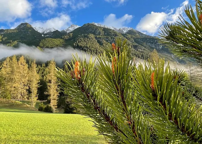 Adlerhof Apartamento